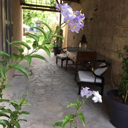 Un Jardin En Ville Sarlat-la-Caneda Luaran gambar